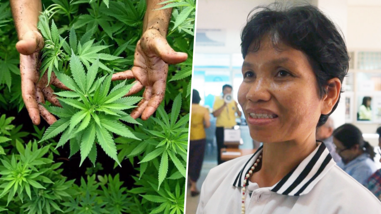 สาวใหญ่อุดรฯ ปลูกกัญชาทานบำบัด "มะเร็งเต้านม" ระยะ 4 อ้างอาการดีขึ้น