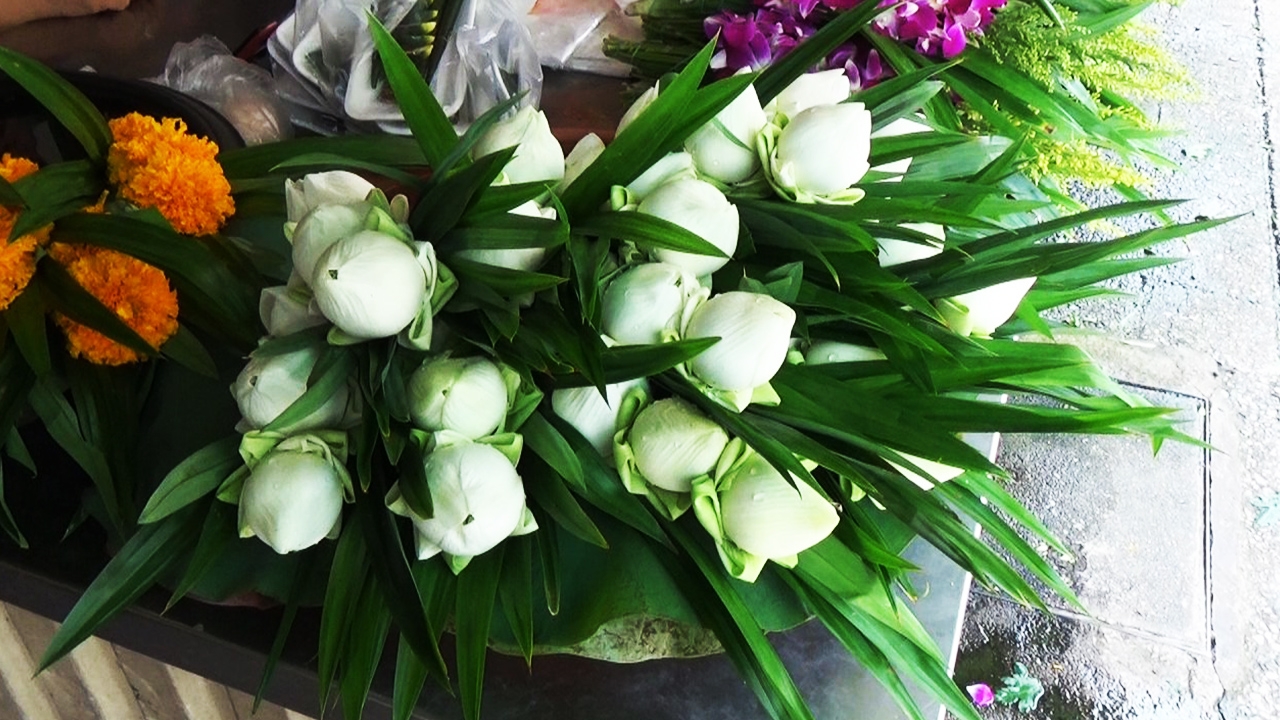 อากาศร้อนและความแล้ง ทำให้ดอกบัวตลาดที่ศรีราชา แพงรับวันวิสาขบูชา