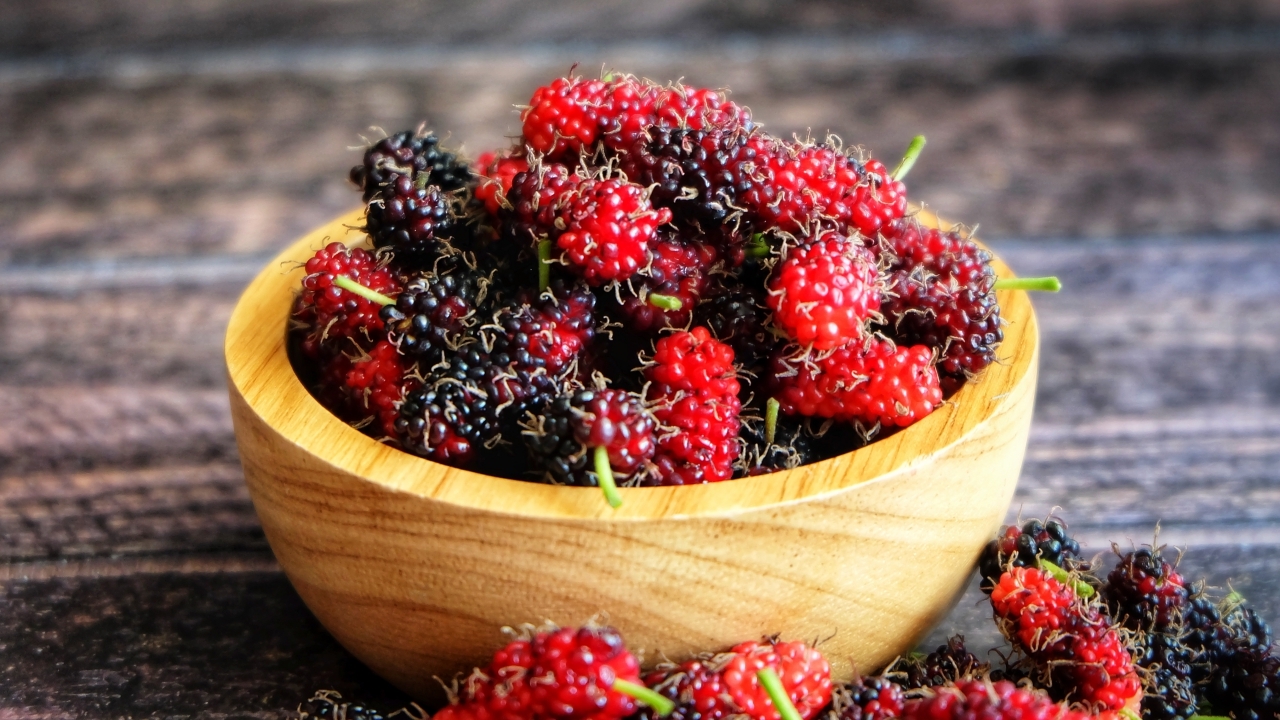 "มัลเบอร์รี" ที่สุดผลไม้ต้านโรค แนะกินป้องกันมะเร็ง ลดน้ำตาล