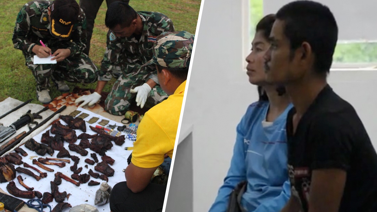 ผู้การกาญจนบุรี รุดสอบเอง พรานกะเหรี่ยง ล่าหมีขอ เจอ 7 ข้อหาหนัก