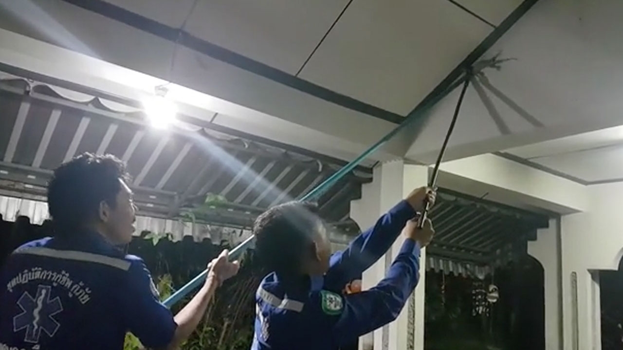 เธอมากับฝนตก กู้ภัยตากงานชุก ชาวบ้านเรียกไปช่วยจับตุ๊กแกคืนละ 5-6 ราย (คลิป)