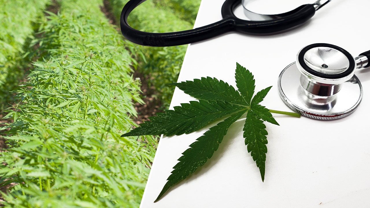 ครม. อนุมัติหลักการร่างกฎกระทรวงเรื่องกัญชา กำหนดใช้ใน 7 ประเภท