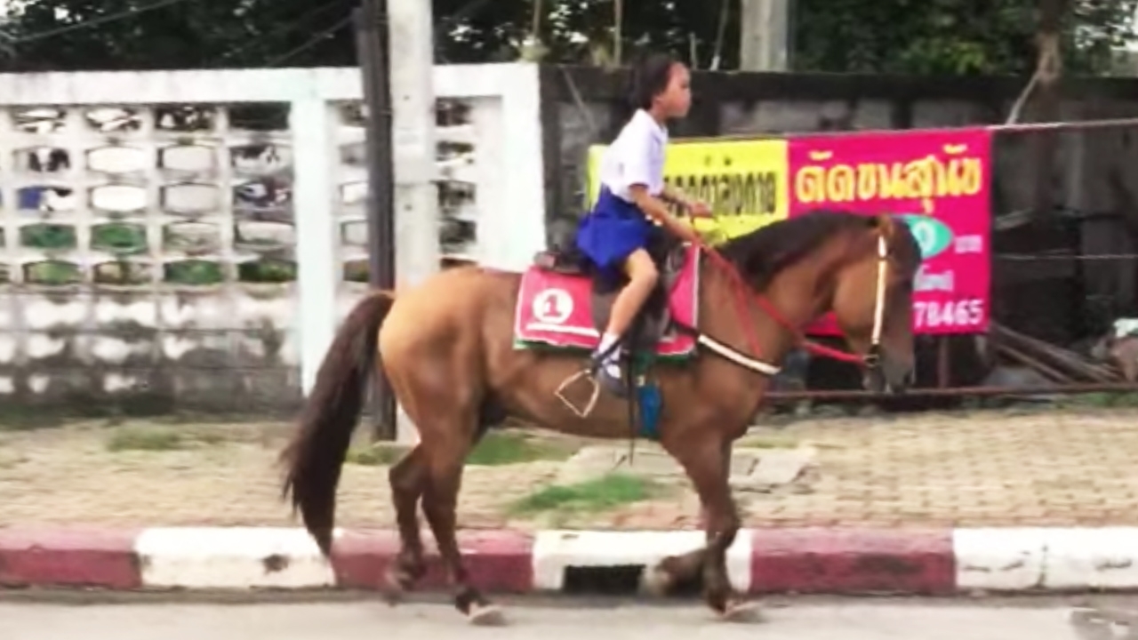 มอ’ไซค์ธรรมดาเกินไป ชาวเน็ตแซ่ซ้องนักเรียนหญิงขี่ม้ากลับบ้าน ดูชิคๆ คูลๆ (คลิป)