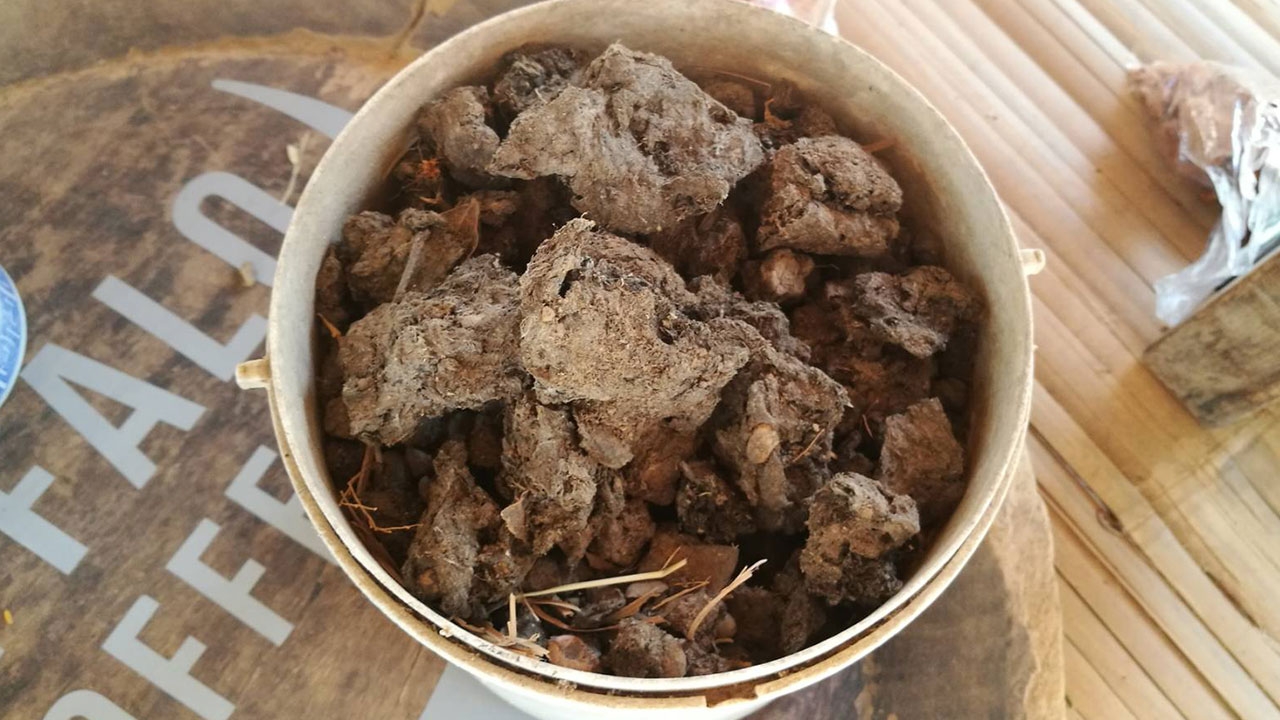 ลองหรือยัง "กาแฟขี้ควาย" ไอเดียคนไทย โด่งดังระดับโลก ขายกิโลละหมื่น