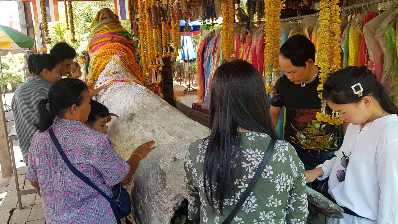 แห่ขอหวย "ตะเคียน 200 ปี" แน่นวัดสว่างฯ คอหวยตาลุกวาว ขูดเจอ "เลขเด็ด"