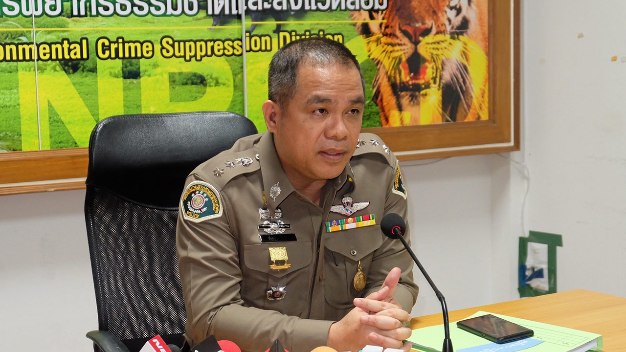 สำนวนคดีรุกป่าไม่หมู