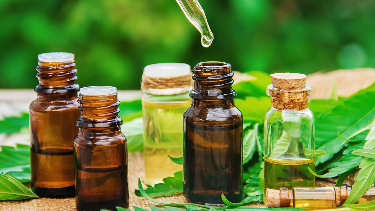 ขอ “กัญชาของกลาง” ผลิตน้ำมัน