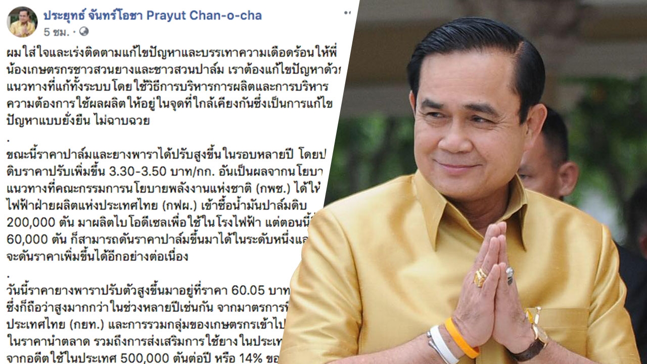 นายกฯ ยันเร่งแก้ปัญหาสวนยาง-ปาล์ม ฟุ้งดันราคาพุ่งกว่า 60 บ.รอบหลายปี 