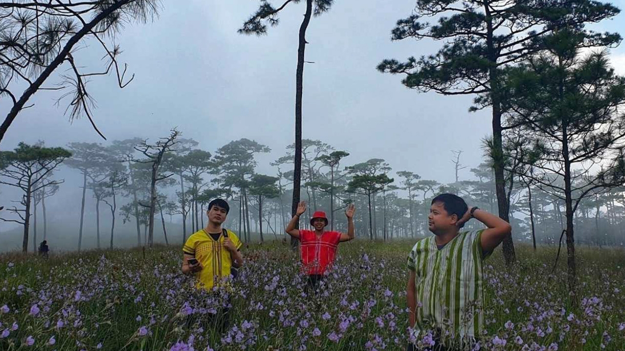 อะเมซิ่ง "ภูสอยดาว" อุตรดิตถ์ ชวนสัมผัส ดงสน ป่าหนาว ดอกหงอนนาค 