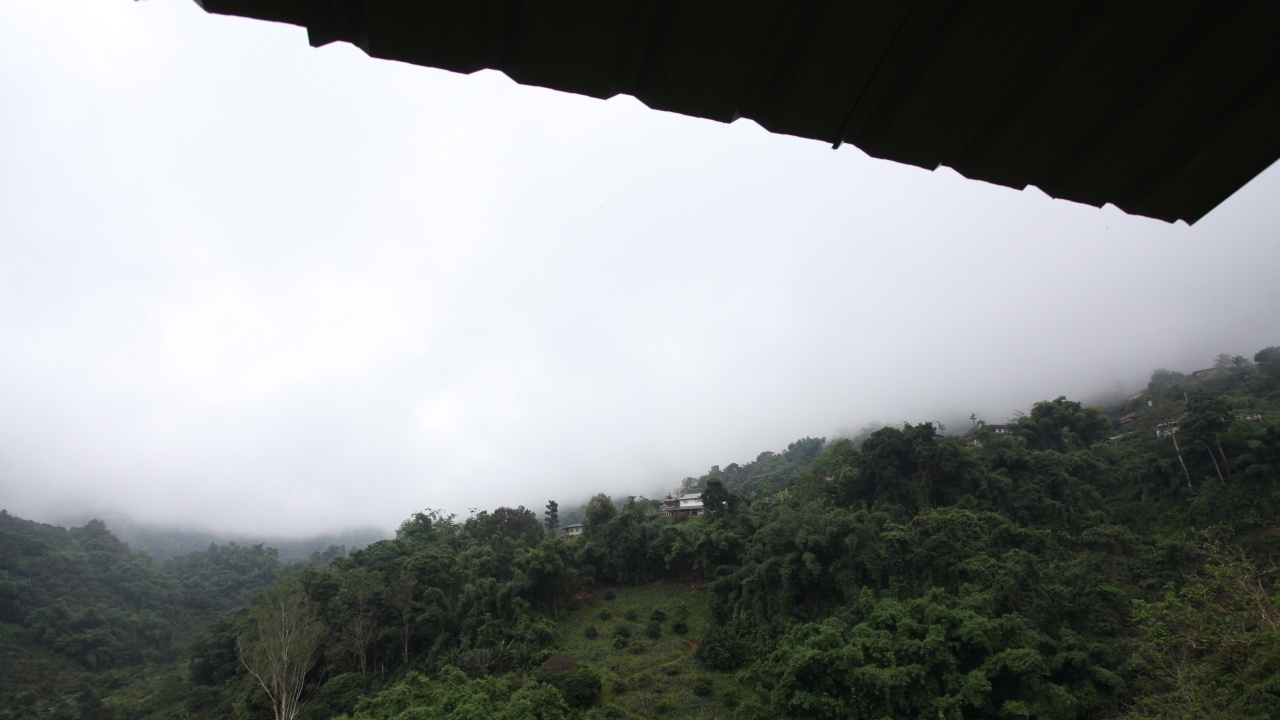 กรมอุตุฯ ชี้ “เหนือ-อีสาน” เย็นตอนเช้า ใต้ฝนยังตกหนักระวังน้ำหลาก