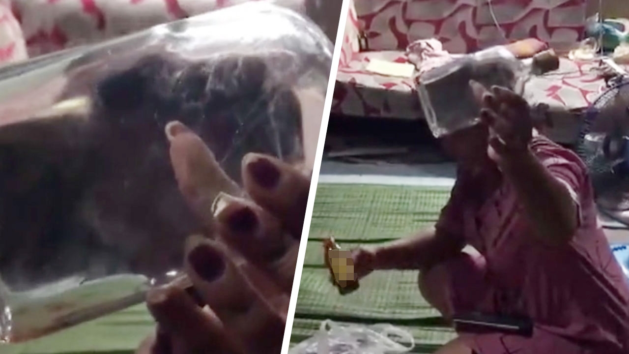 “ยาดองลุงนัท” สูตรนรกเรียกพี่ รากสามสิบผสมคางคก ซดดับแล้ว 1