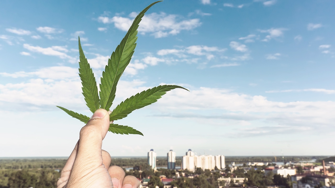 เปิดตัวงานประชุมและงานแสดงนานาชาติอุตสาหกรรมกัญชาครั้งแรกในไทย