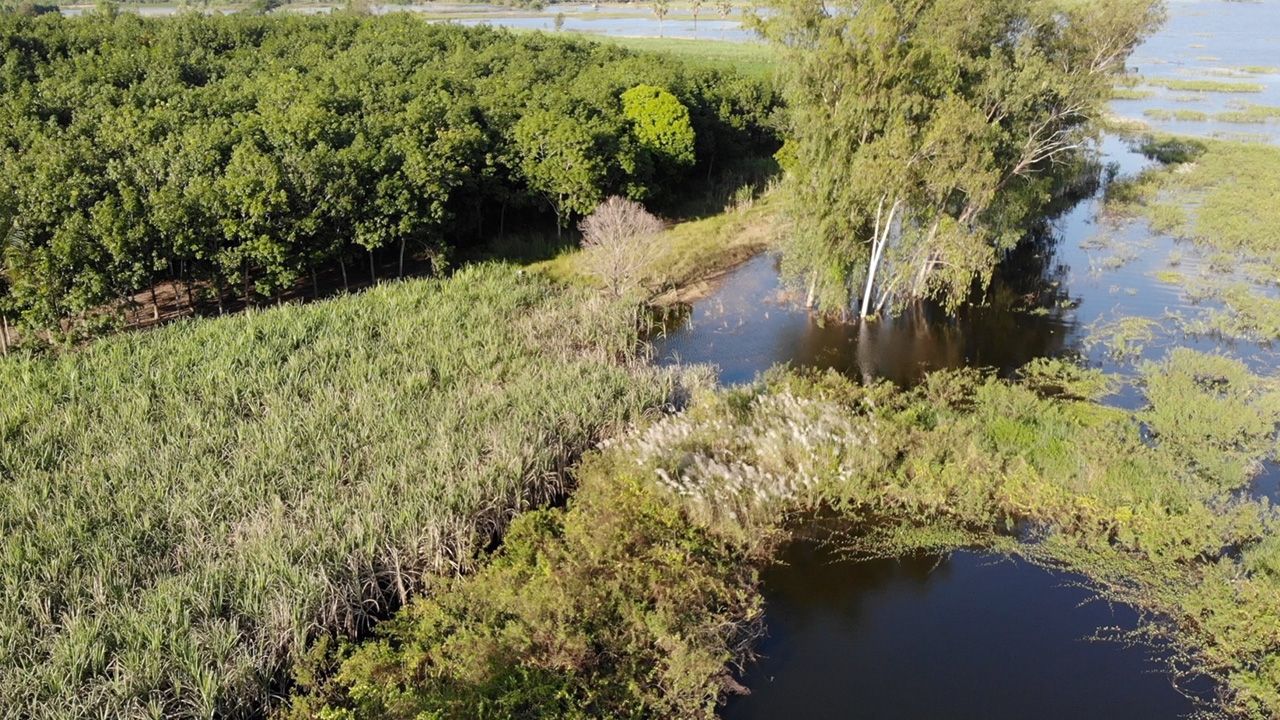 กู้ภัยกาฬสินธุ์ ยังไม่เลิกภารกิจ เฝ้าตามล่าจระเข้ริมเขื่อนลำปาวต่อ