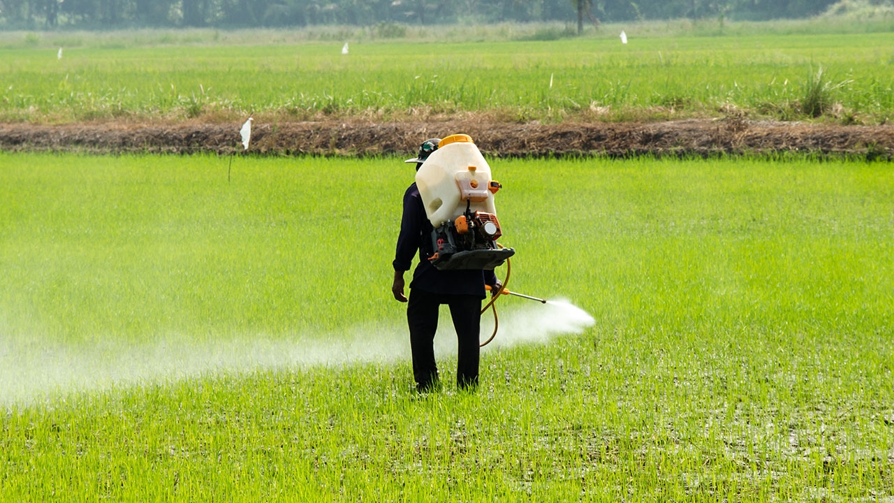 แฉโดนหลอกแบน 3 สารพิษ อ.จุฬาติง "อนุทิน" ขาดความรู้