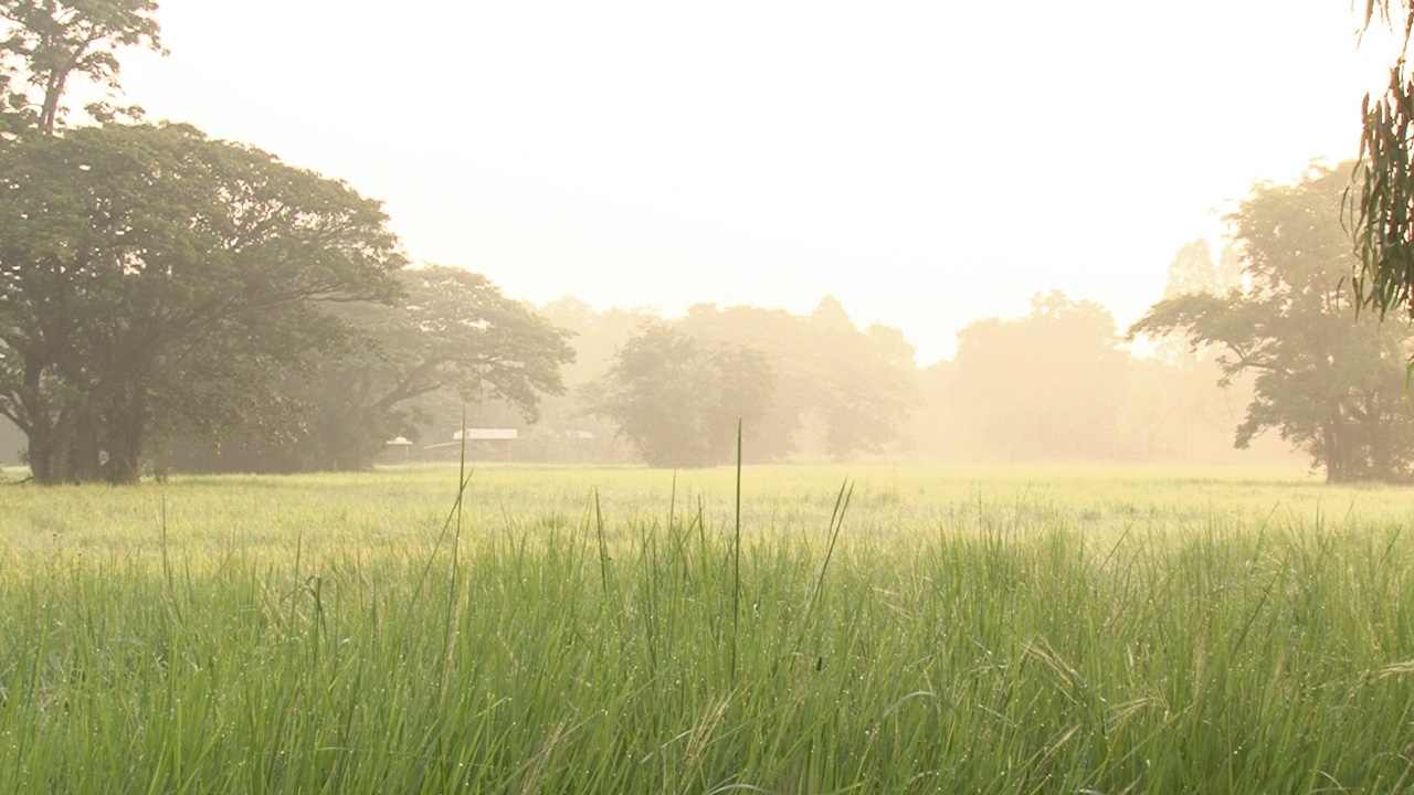 “ไต้ฝุ่นฮากิบิส” ไม่กระทบไทย ทุกภาคยังมีฝนฟ้าคะนองในระยะนี้