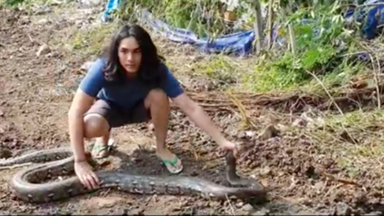 แน็ก ชาลี โชว์สกิลจับงูเหลือมหลังบ้าน ลูบคลำตามตัวช่วยปลอบใจน้อง 
