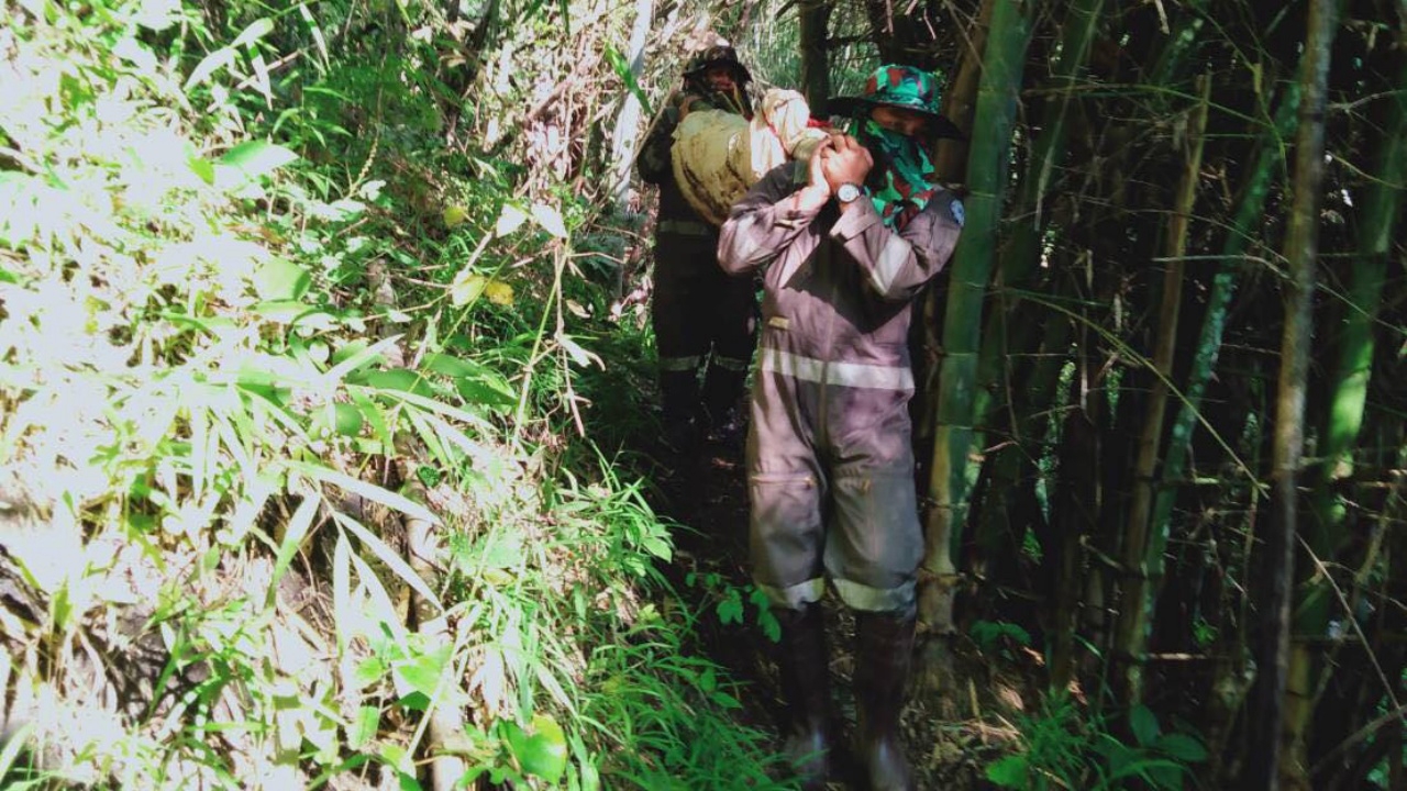 จนท.กู้ภัยแม่อาย นำร่างไกด์ทัวร์ถูกฝูงต่อรุมต่อยดับ ออกจากป่าได้แล้ว