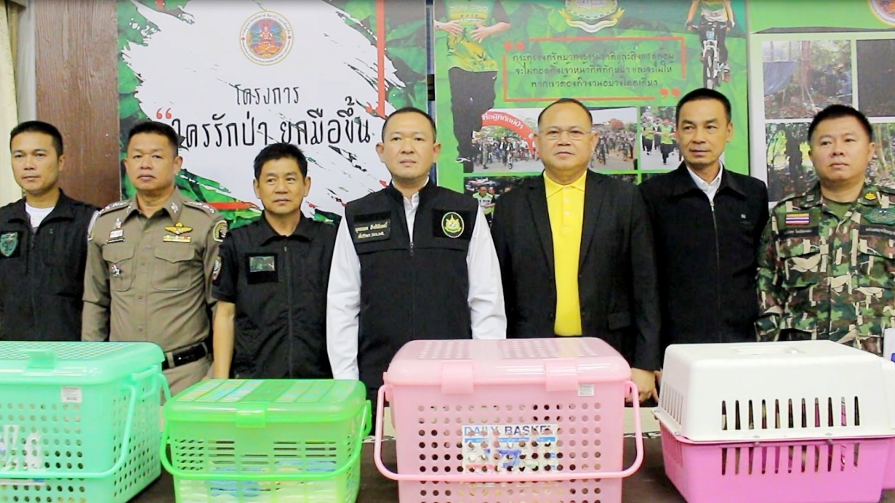 "พญาเสือ" รวบเครือข่ายลอบค้าสัตว์ป่าผ่าน FB ฮึ่มงัดโทษหนักดำเนินคดี