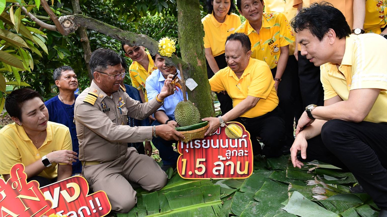 ทุเรียนแพงสุดในโลก ลูกละ 1.5 ล้านบาท พันธุ์ก้านยาว ที่สวนนนทบุรี