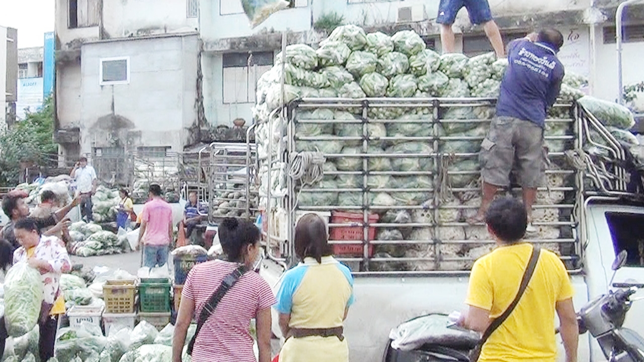 หน้าฝนราคาผักขึ้นแทบทุกชนิด พริกขี้หนู-ฟักทอง แพงเป็นประวัติการณ์