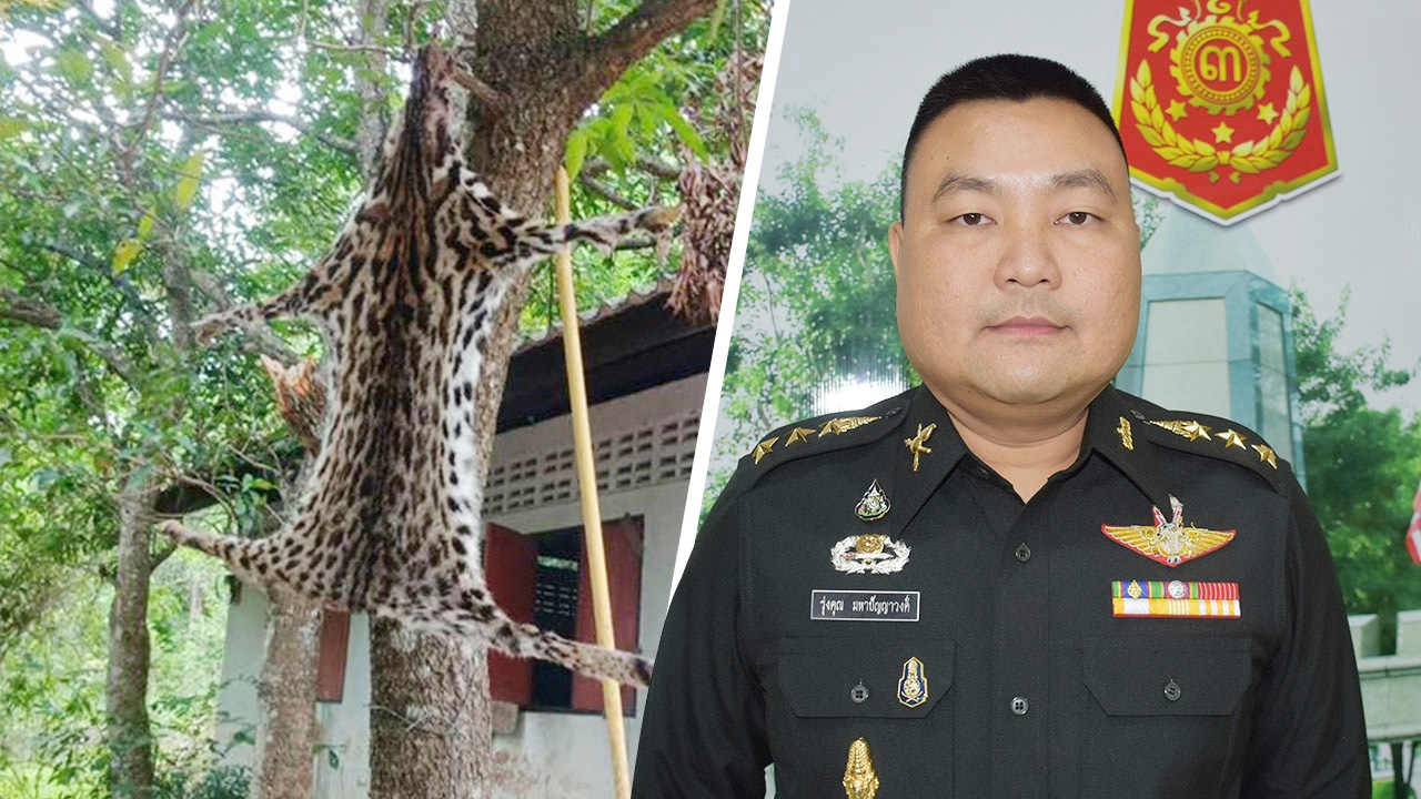 "บิ๊กแดง" สั่ง ทภ.3 ฟันทหารถลกหนังแมวดาวตากแห้ง คาด 7 วันรู้ผล