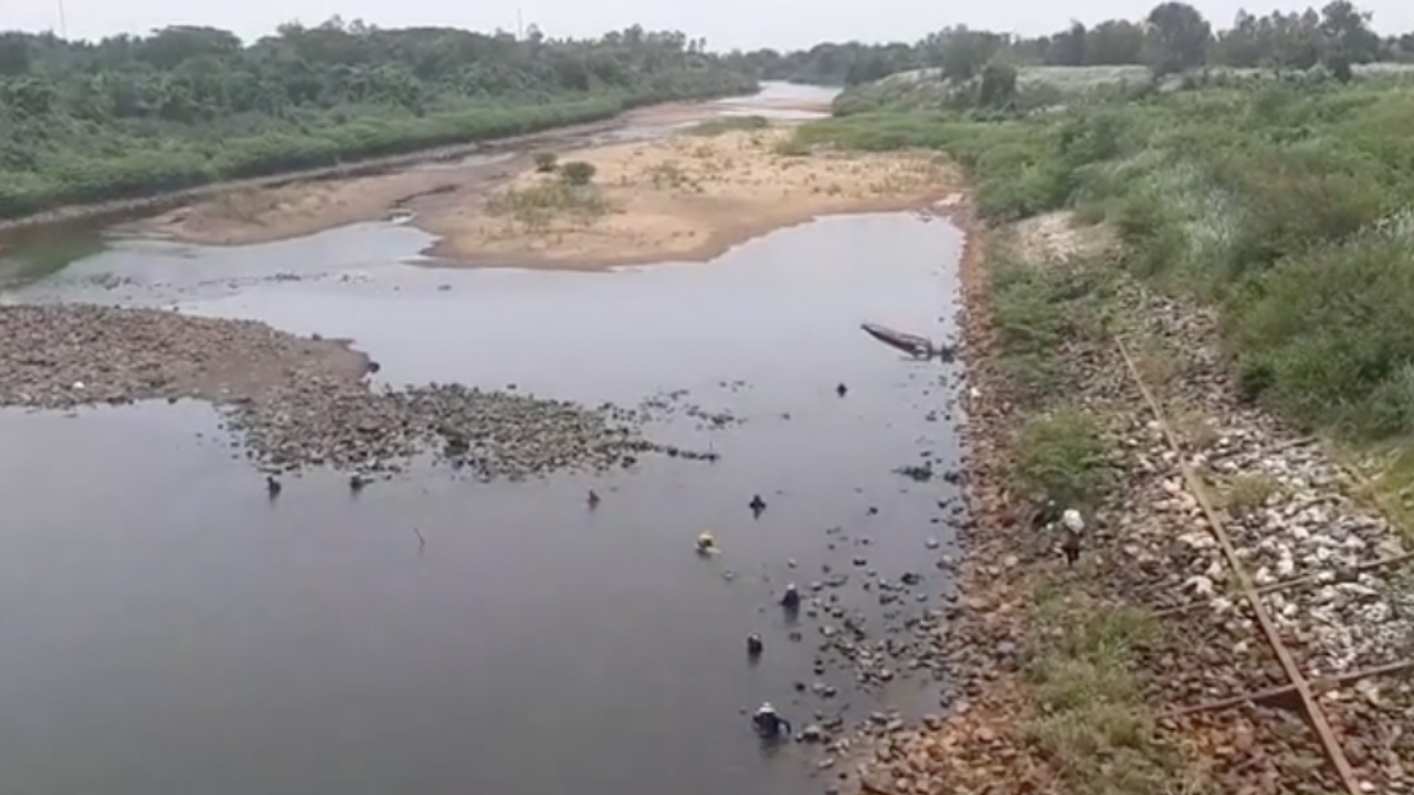 แล้งมาเยือน แม่น้ำชีแห้งสุดในรอบ 10 ปี ที่ฝายวังยางเห็นสันดอนทราย