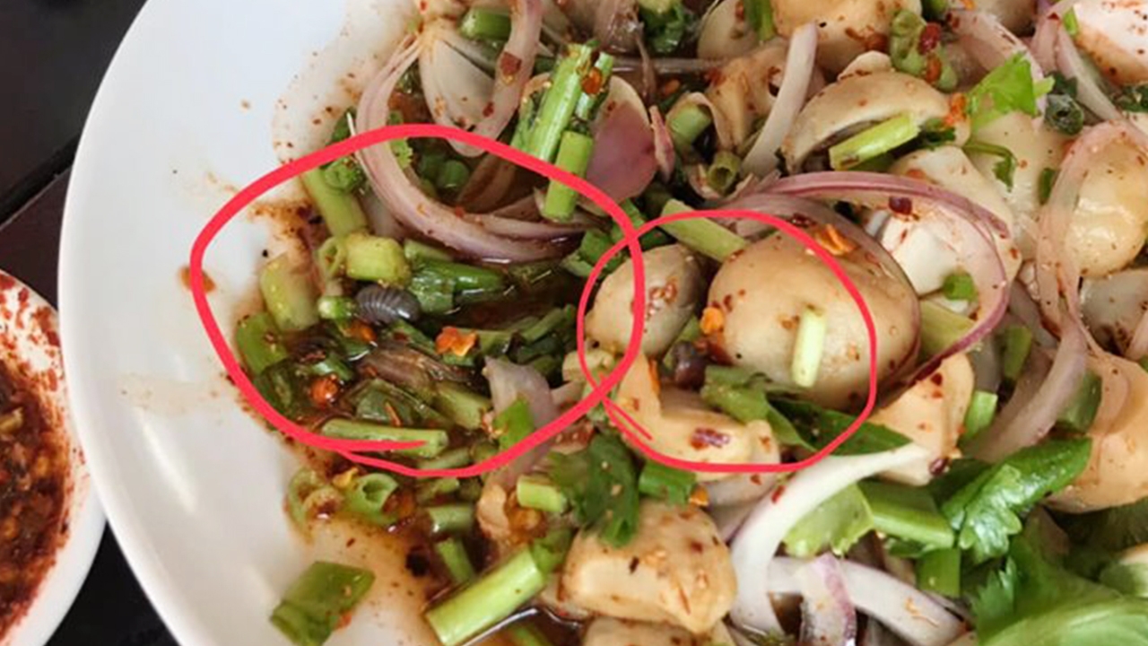 ร้านส้มตำชื่อดัง ขอโทษ "กิ้งกือ" โผล่ในลาบเห็ด คาดติดมากับผักชีใบเลื่อย
