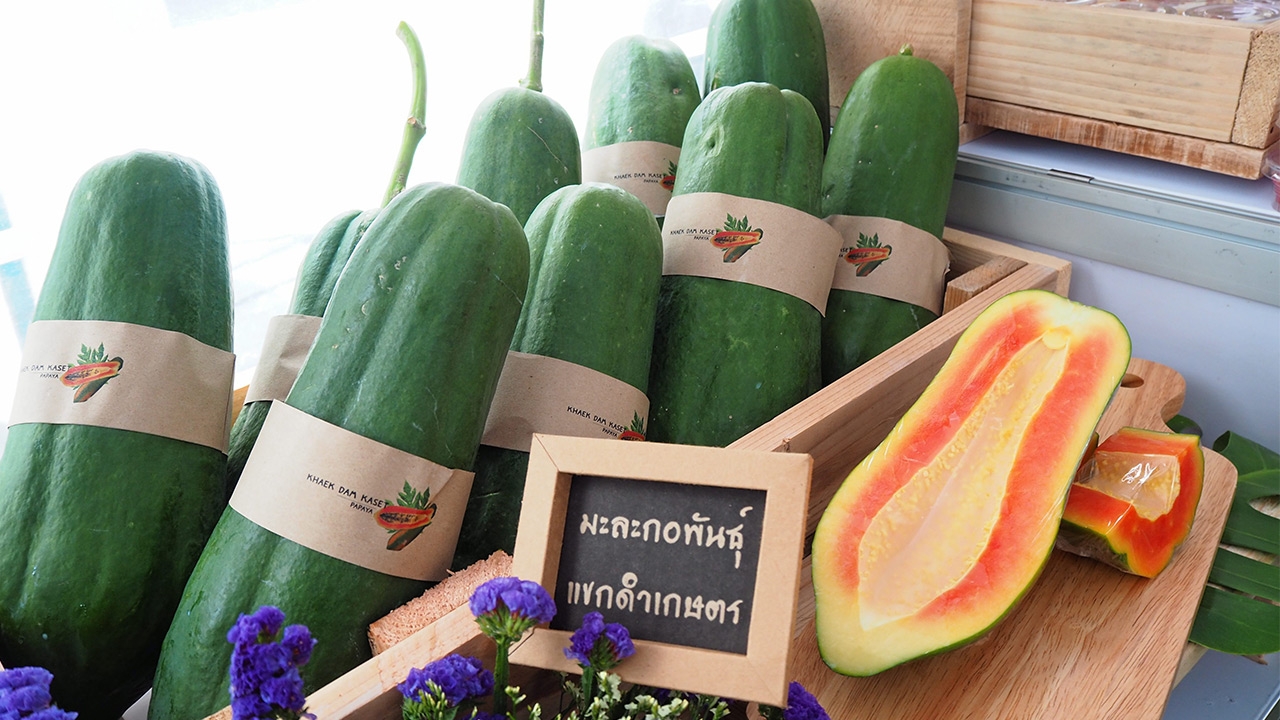 แขกดำเกษตร