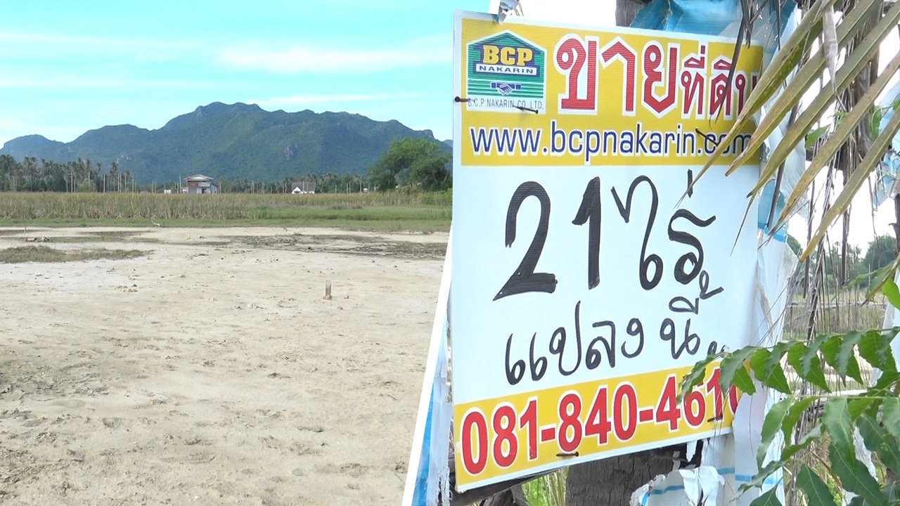 พบที่ดิน แม่แพรวา อยู่สามร้อยยอด ประกาศขายมาหลายปี มีแค่ "คนมาถาม"