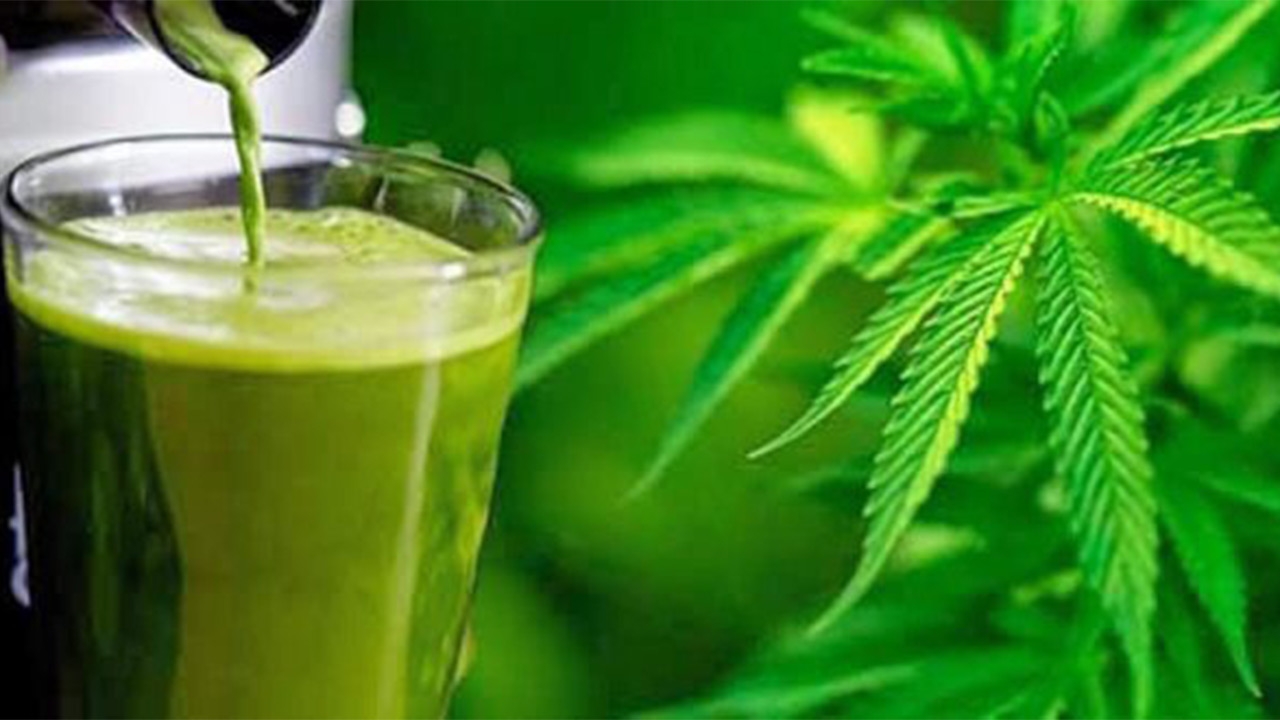 กัญชาไมโครโดส...หลักปฏิบัติที่สำคัญ