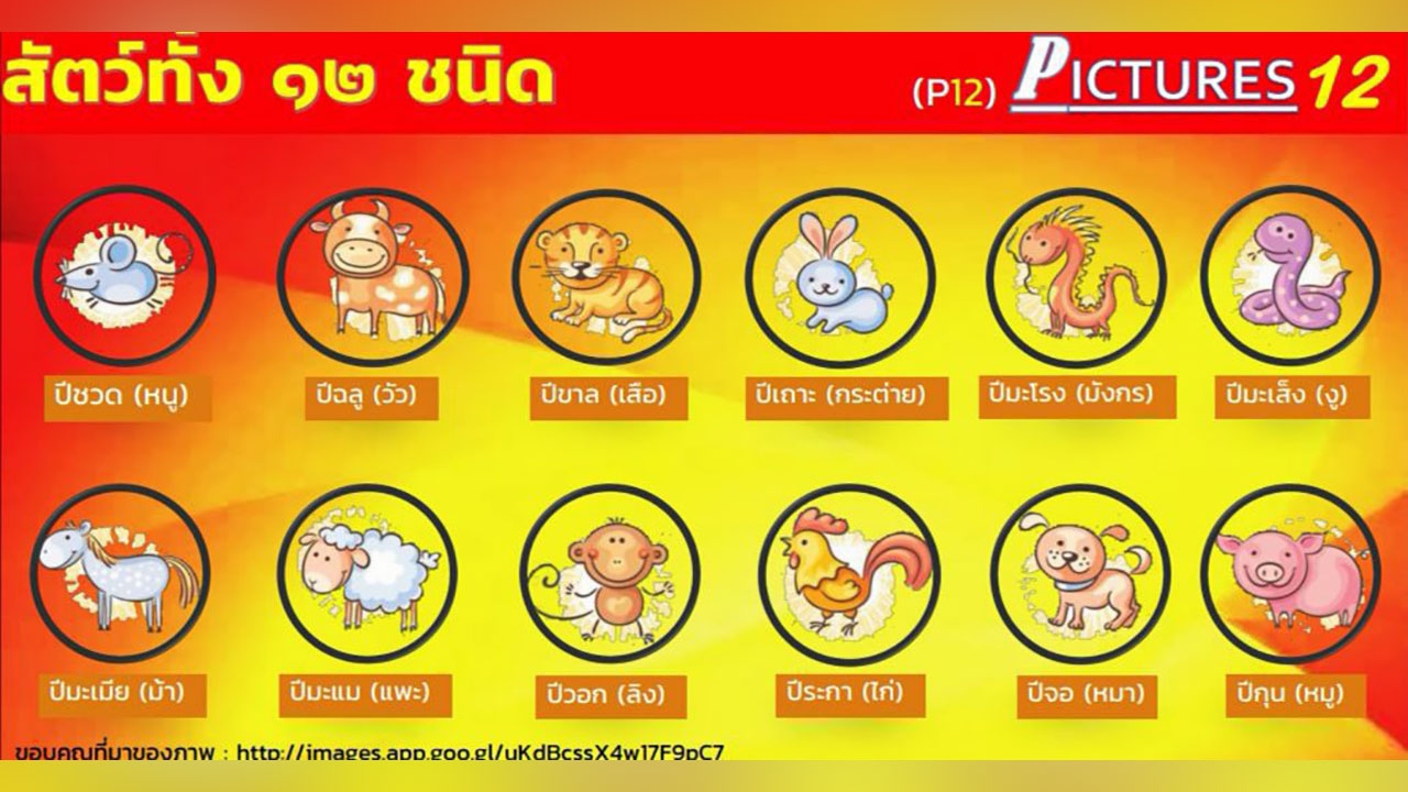 ลุยหวยนักษัตร กองสลากโยนครม.ชี้ขาด