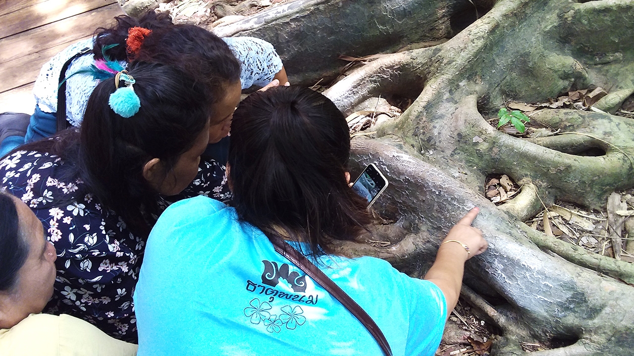 คอหวยบุก "คำชะโนด" ใช้มือถือส่องรากมะเดื่อ-หลังเต่ายักษ์ เจอ "เลขเด็ด" สมใจ
