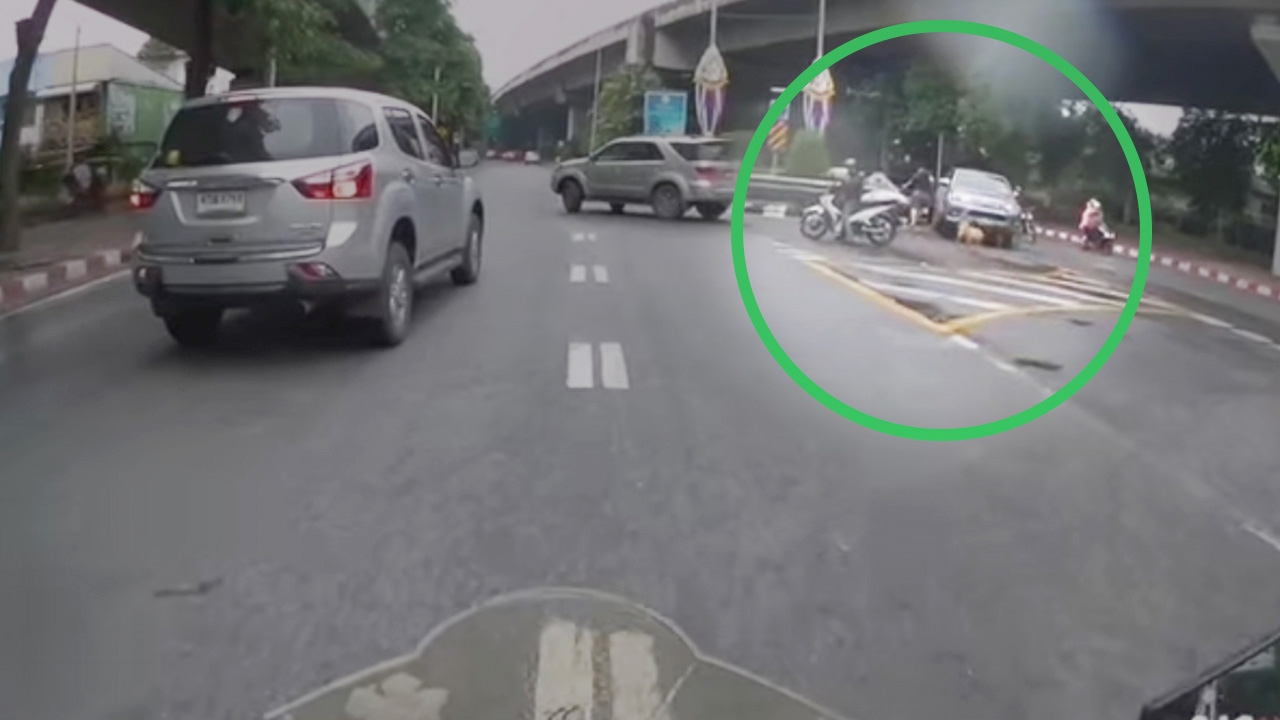 อยากได้คำตอบ เหตุใดหนุ่มเสื้อดำวิ่งหนีหมาไม่คิดชีวิต แม้ล้มกลางถนน (คลิป)