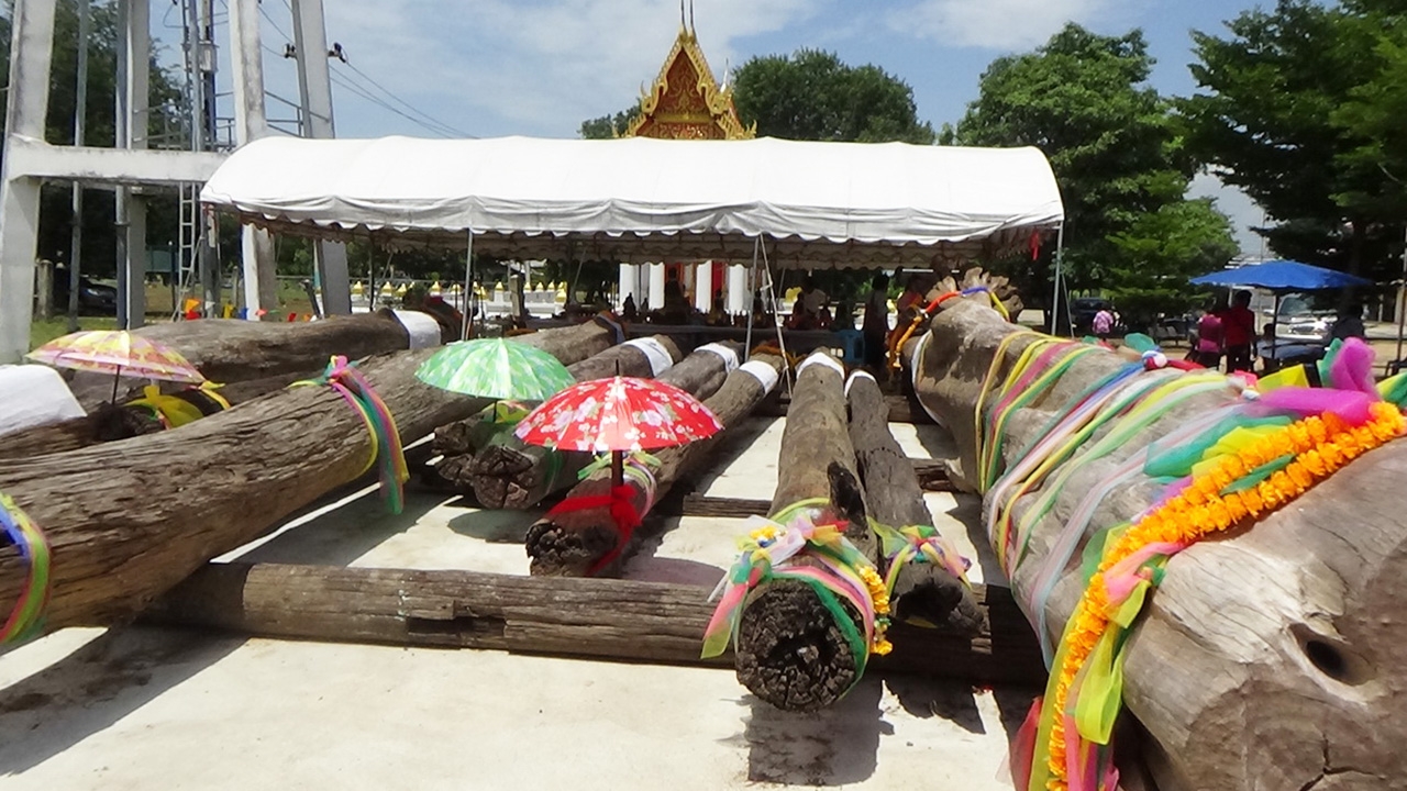 คอหวยเต็มวัดท่าช้างขอเลขเด็ดแม่ตะเคียนทอง 14 ต้น งวดนี้เห็น 2 อีกครั้ง