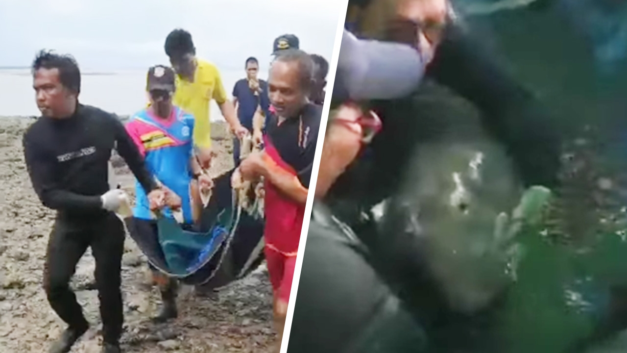 ย้าย "มาเรียม" พักฟื้นในบ่ออนุบาล เริ่มกินหญ้าทะเล ทดลองให้กลูโคส