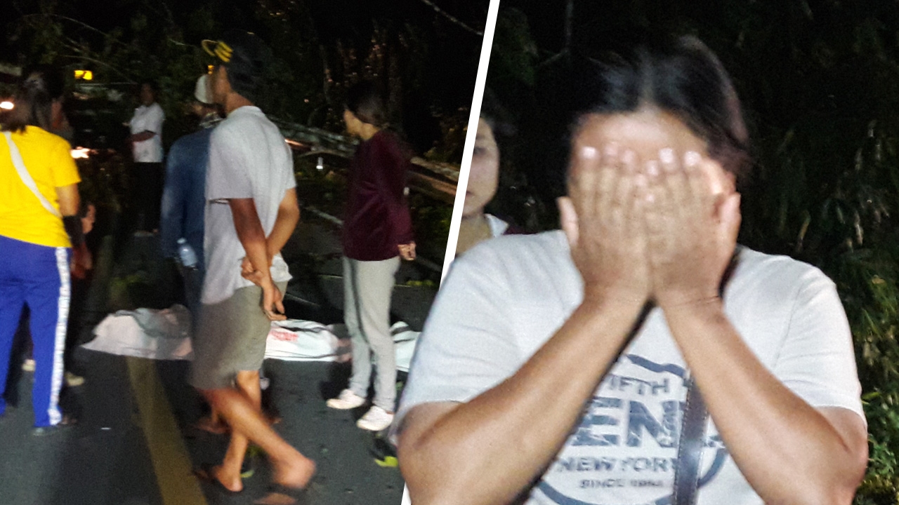 หนุ่มเลี้ยงวัวดวงดับ ขี่รถจะเข้าบ้าน ต้นยางล้มขวางถนน ชนตายคาที่