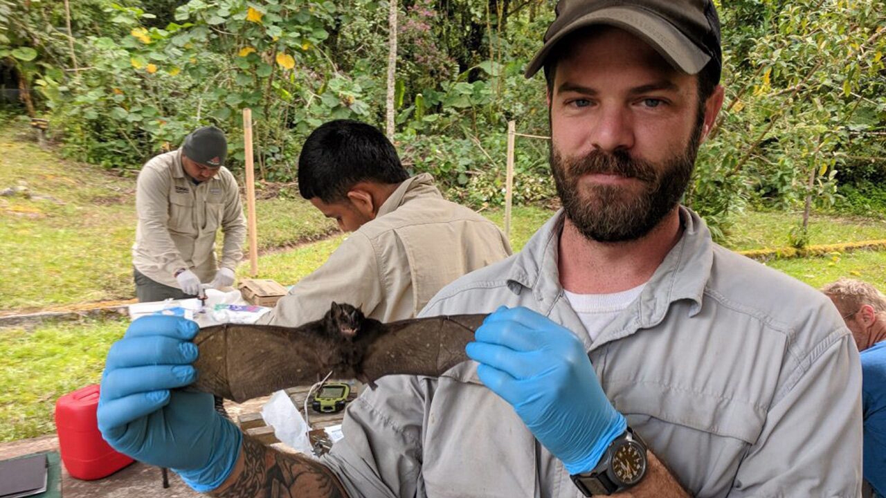 วิจัยไวรัสเพื่อทำนายการระบาดในอนาคต