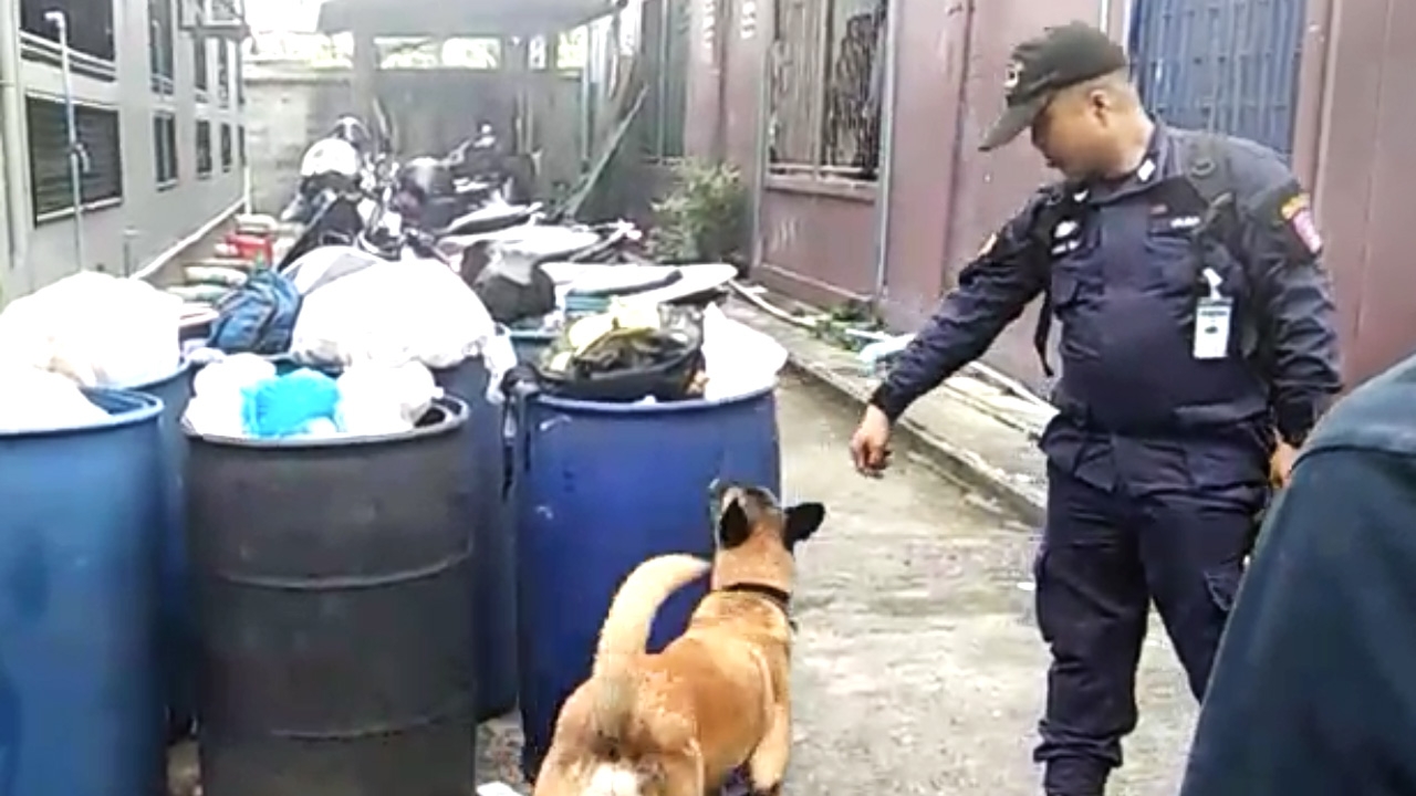 พบที่พัก มือระเบิดป่วนกรุง นำสุนัขตำรวจ ค้นอพาร์ตเมนต์ ซอยรามฯ 53 