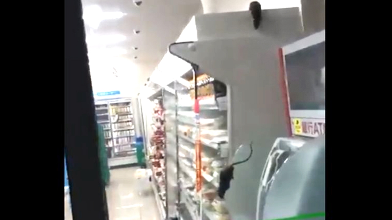 เชนร้านสะดวกซื้อดังญี่ปุ่นขอโทษ หลังคลิปแฉหนูวิ่งพล่านในร้าน (คลิป)