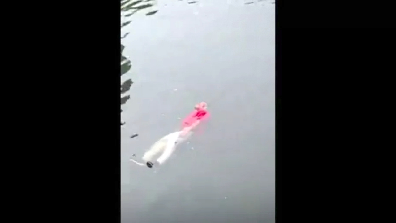 ชาวบ้านจีนแตกตื่น เห็นคนลอยนิ่งในน้ำนึกว่าตาย จู่ๆ ลุกขึ้นเดินเฉย (คลิป)