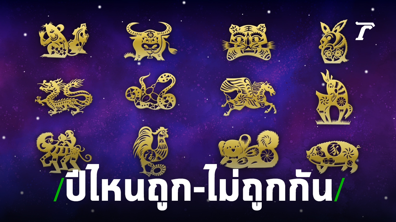 หลีกเลี่ยง หรือ เข้าใกล้ เปิด 12 นักษัตร 2562 ปีไหนถูก-ไม่ถูกกัน 