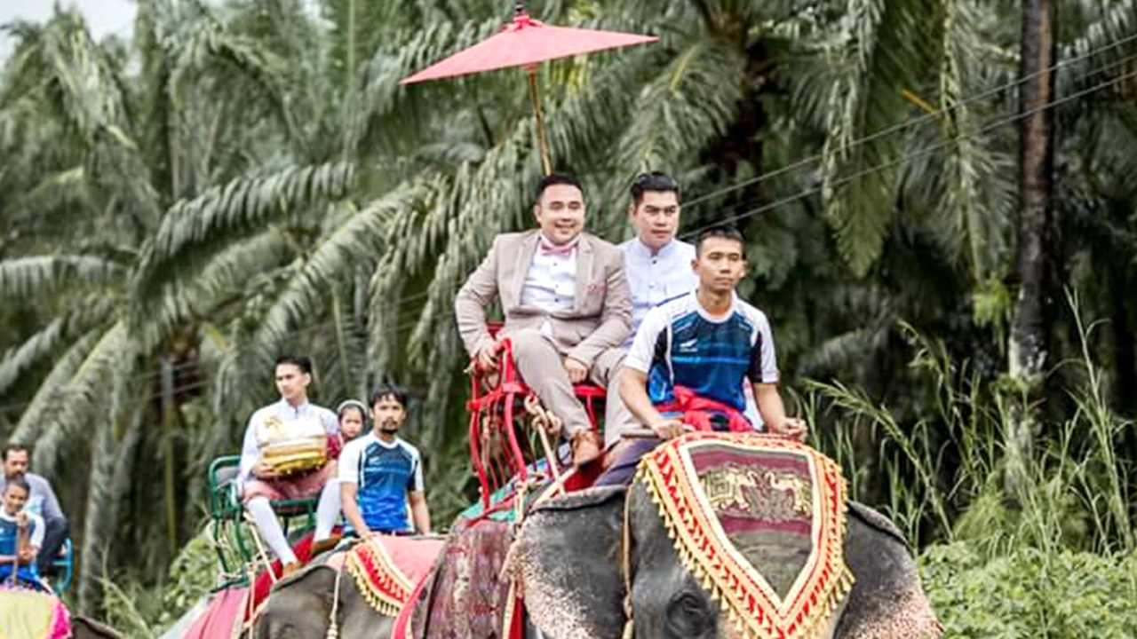 เจ้าบ่าวที่กระบี่ จัดวิวาห์สุดอลังการ นำช้าง 12 เชือกร่วมขบวนขันหมาก