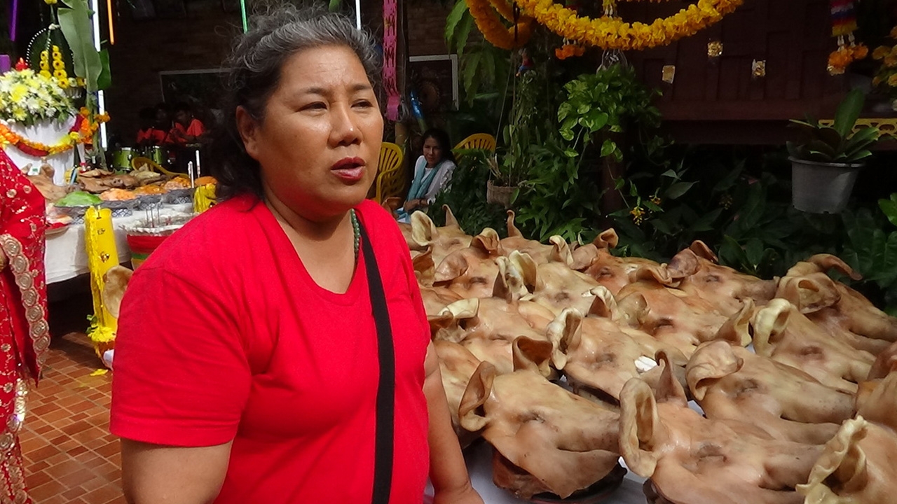แม่ค้าผลไม้ถวายหัวหมู 99 ตัวแก้บนพ่อปู่มโนราห์ หลังปลดหนี้ 10 ล้านได้