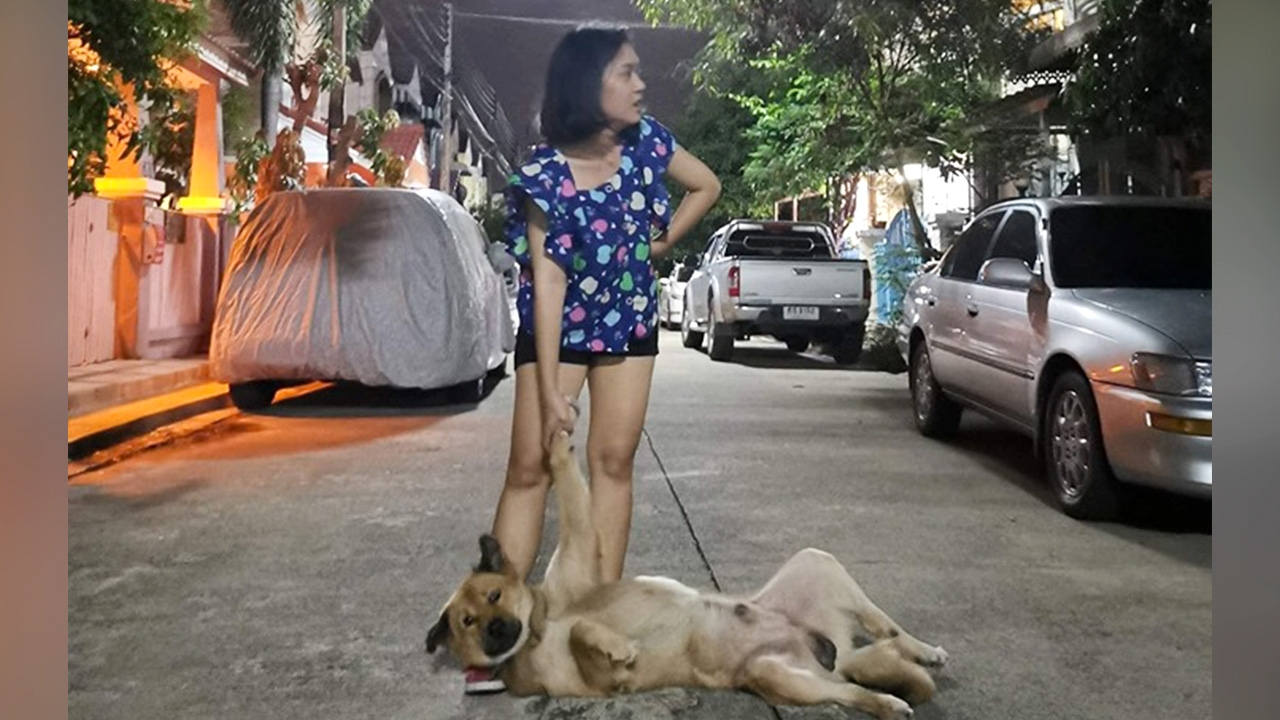 น่ารัก "กีกี้" ไม่อยากเข้าบ้าน ร้อนถึงแม่ต้องฉุดลากกลับ เพราะอุ้มไม่ไหว (คลิป)