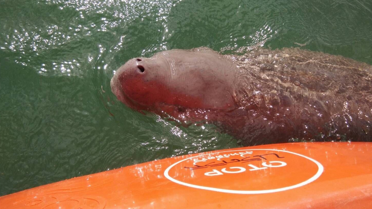 "มาเรียม" ช็อกรอบ 2 ตกใจตัวสั่นไม่กินนม ทีมแพทย์เฝ้าระวังใกล้ชิด 24 ชม.