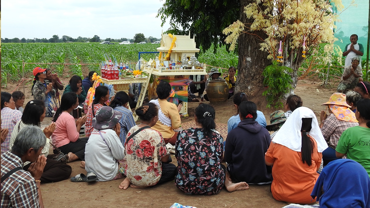 คนรักหวยรอคอย "เลขเด็ดต้นสะเดาทอง" หมอแมวย่องเงียบมาทรง เลขมงคลก็มา