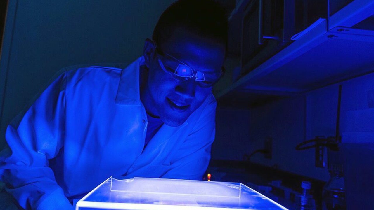 สร้างจุลินทรีย์ที่เปลี่ยนก๊าซเรือนกระจก