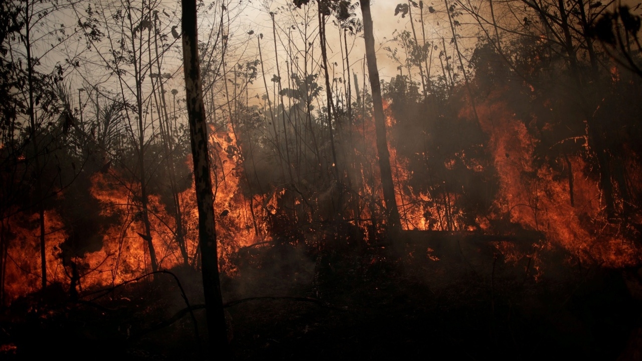 บราซิลส่งทหาร 4 หมื่นนายสู้ไฟป่าแอมะซอน ผู้นำโดนครหาไม่ลงโทษคนลอบตัดไม้