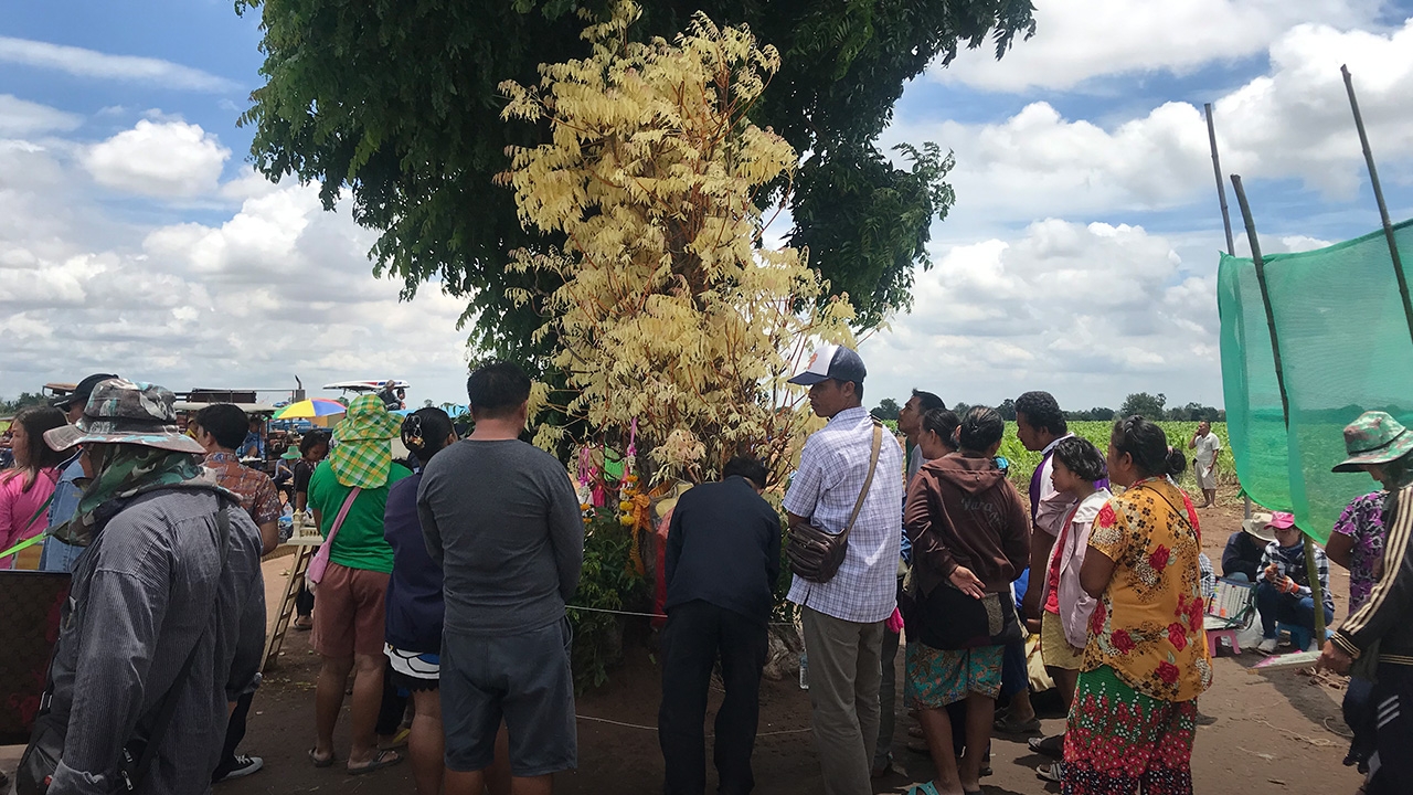 แม่นมา 2 งวดติด คอหวยนับพันแห่ขอเลขเด็ด "ต้นสะเดาทอง" ชูให้เห็นมี 9