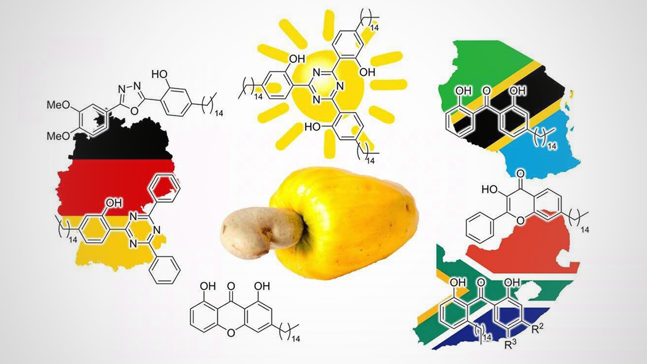 คุณประโยชน์เปลือกเม็ดมะม่วงหิมพานต์